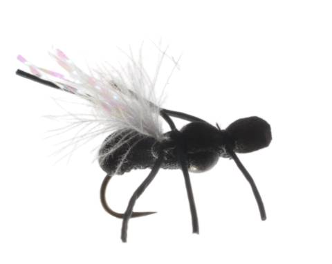 Tanked Ant